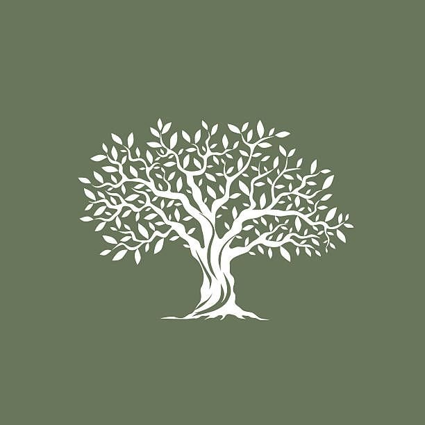 Genesis Books